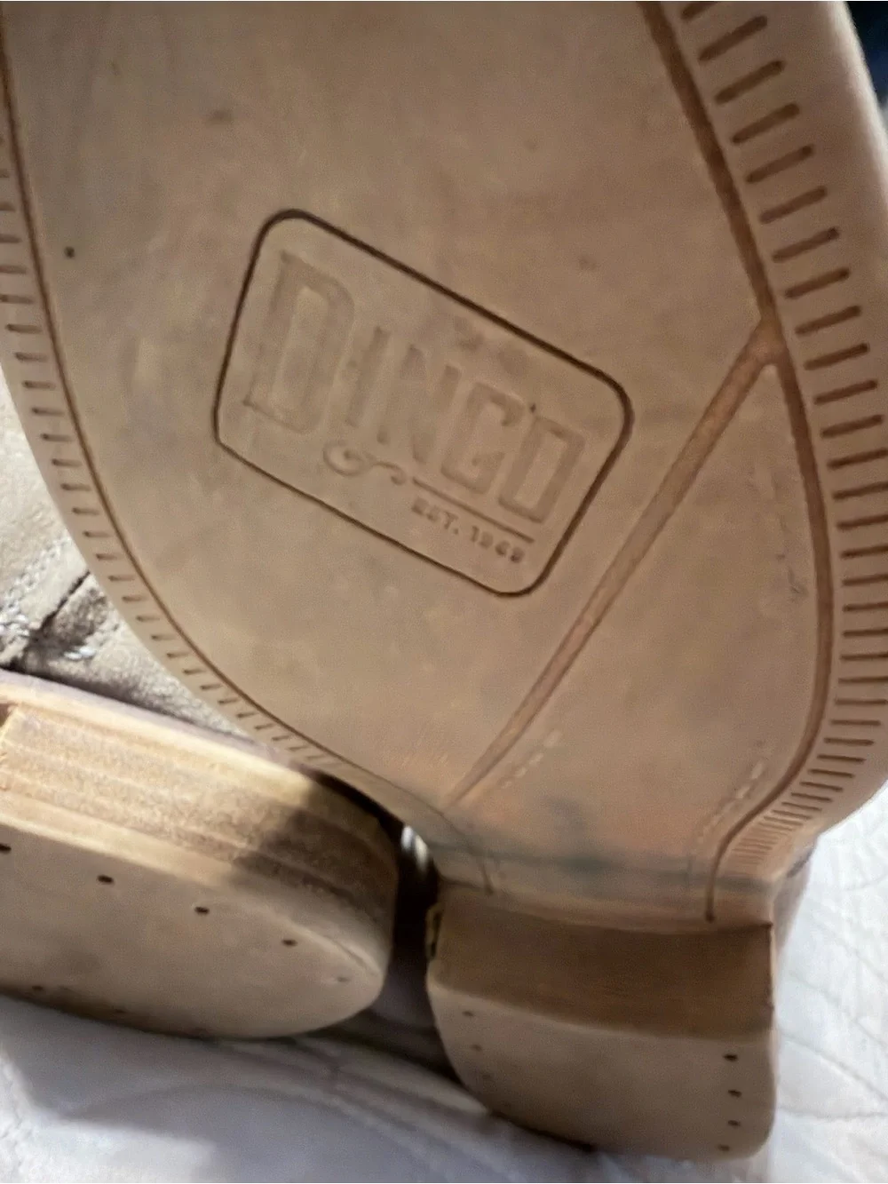 dingo stylish taupe